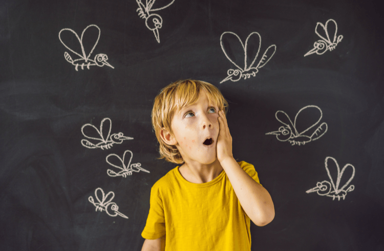 làm gì khi bị sốt xuất huyết