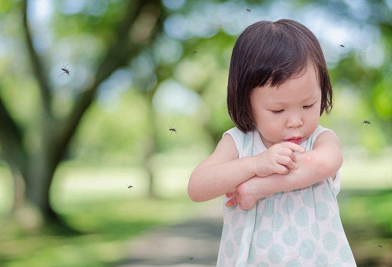 Đối tượng dễ bị sốt xuất huyết chính là trẻ em 