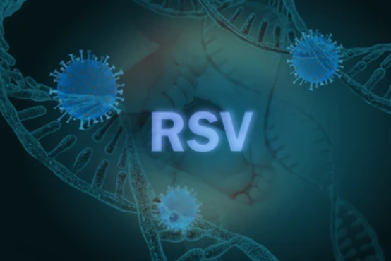 Virus rhinovirus là nguyên nhân gây nên tình trạng viêm họng 