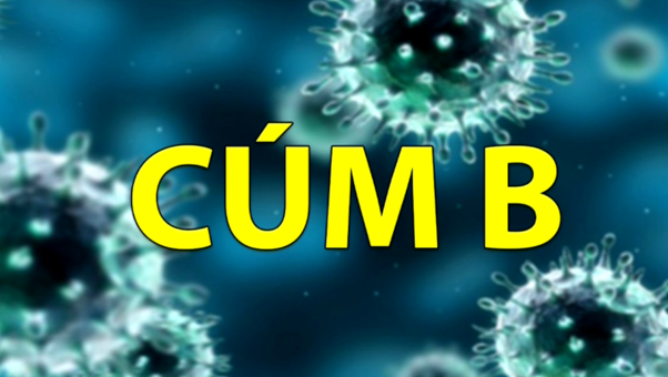 Thông tin chung về cúm B