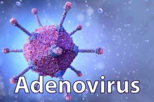 Tìm hiểu về sốt virus adeno